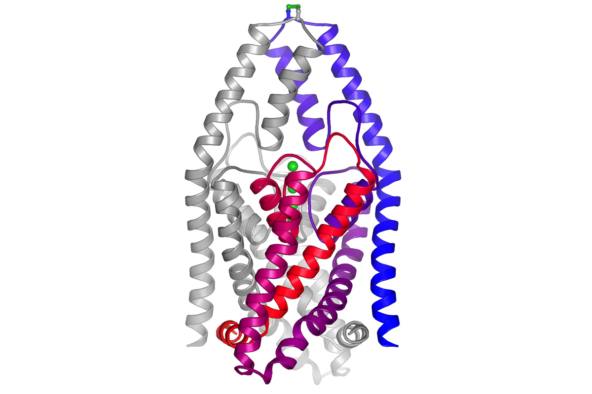 Human two-pore domain potassium channel