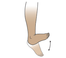 Figura 2. Bombeo de tobillo