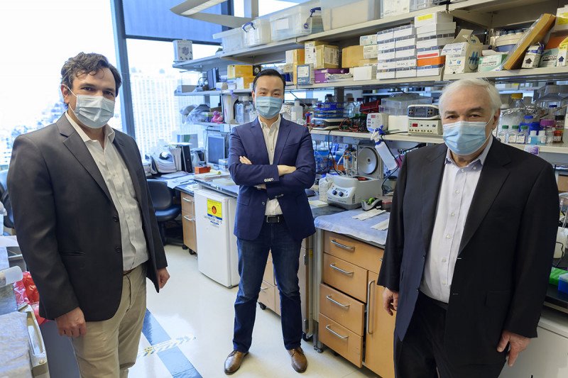 Piro Lito, Bob Li, and Neal Rosen in the lab