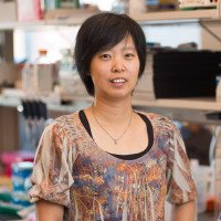 Jing  Li, PhD