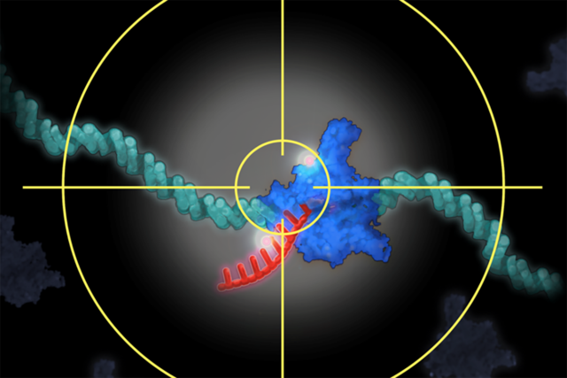 Molecular image with target symbol