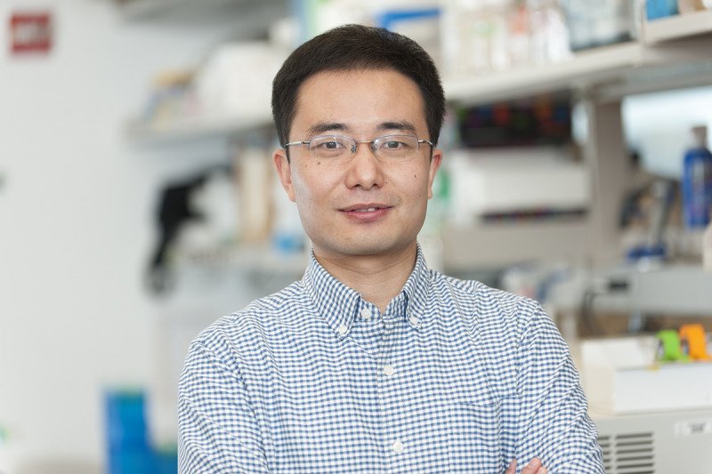 Xiaochuan Cai, PhD