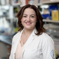 Allison Betof, MD, PhD