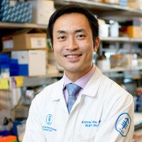 Memorial Sloan Kettering medical oncologist Andrew Chow